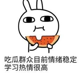 吃瓜群众的瓜突然没了,吃瓜群众瓜源告急