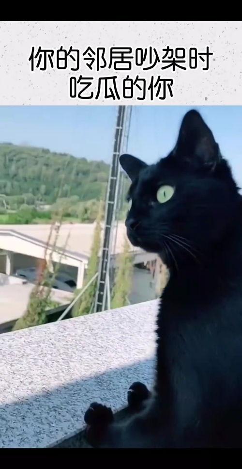 隔壁吵架吃瓜,吃瓜群众围观现场