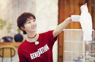 林秋楠吃瓜,揭秘娱乐圈幕后真相