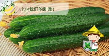 夏日应该吃瓜还是吃瓜,吃瓜还是吃瓜？