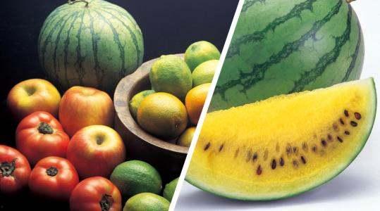 梦见吃瓜还是黄心,吃瓜与黄心，揭示潜意识中的真实想法